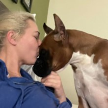 Stolen dog kisses