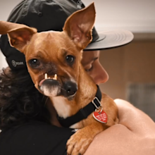@thedailyjames posts Picasso, the crooked faced dog.