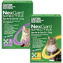 NexGard SPECTRA® Spot-On for Cats offers complete parasite protection, all in one easy, monthly application.