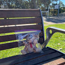 Sydney Joy Bear drive