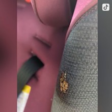 The fire damaged the car seat. 