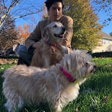 Cole Sprouse, Lili Reinhart, dogs, Instagram Stories