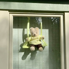 The unofficial 'teddy hunt' is a way to keep bored children entertained.