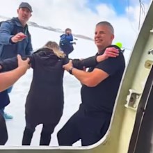 Passengers who survived a dramatic plane crash in Canada have recalled hanging upside down in the aircraft after it flipped on the runway.