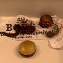 Discovery made in Kristen Bell's shower