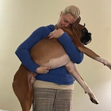 Stolen dog cuddle