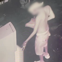 Alleged Lasagne theft