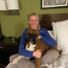 Stolen dog found