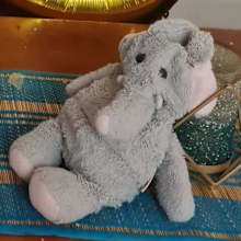 The mum says her son is obsessed with the Elephant.