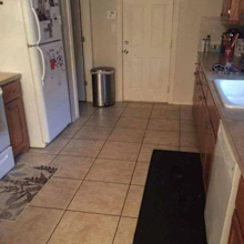 hidden dog image TikTok