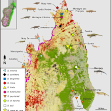 Map of northern Madagascar, showing the distribution of the species.