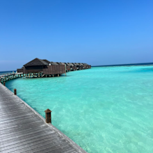 shelly horton maldives holiday