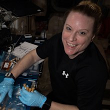 NASA astronaut Kate Rubins collects tubes containing swab samples of microbes on the space station.