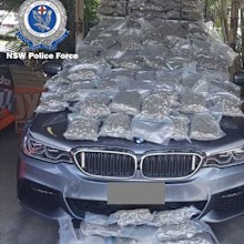 An estimated $1 million worth of cannabis displayed here on a police car.