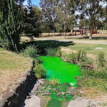 A creek has turned bright green in Melbourne, prompting authorities to warn residents to avoid contact. The Environmental Protection Authority (EPA) Victoria received several reports yesterday that Stony Creek at Cruikshank Park in Yarraville was strangely discoloured.