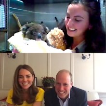 Dana Mitchell and Grace, the koala meet Kate Middleton and Prince William via a video call