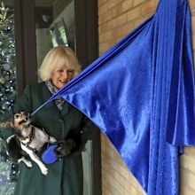 Camilla, Duchess of Cornwall with Beth, her jack-russell terrier, unveiling a plaque as they visit the Battersea Dogs and Cats Home to open the new kennels and thank the centre's staff and supporters on December 9, 2020 in Windsor, United Kingdom