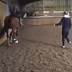 Video has emerged of decorated British dressage star Charlotte Dujardin repeatedly whipping a horse.