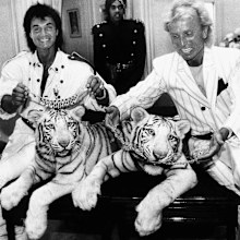 Las Vegas magicians Roy Horn, left, and Siegfried Fischbacher pose in New York, with their rare white tigers, Neva, left, a female, and Vegas, a male, during a stop at Van Cleef & Arpels jewelry before their departure for Germany (Photo: June 1987)