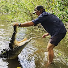 Matt Wright's Wild Territory, 9Now.