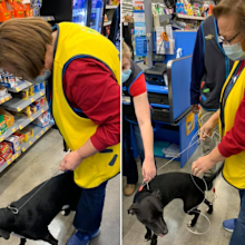 Dog shows up at Walmart reunited with owner