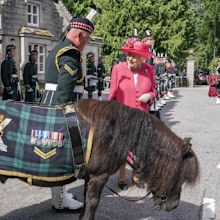 Queen Elizabeth greeted by Shetland pony in Scotland.