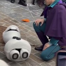 Animatronic character Olaf collapses at Disneyland Paris 