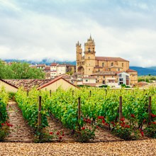 La Rioja Wine Country Vineyards.