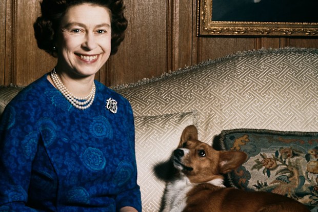 The Queen's last corgi has died