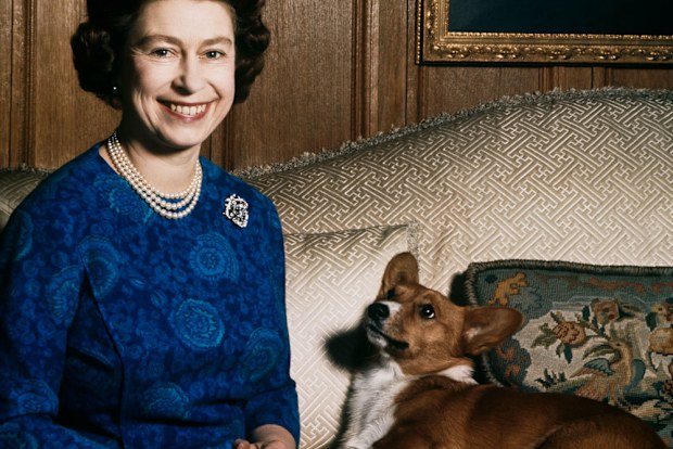 The Queen's last corgi has died
