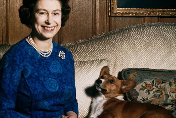 The Queen's last corgi has died