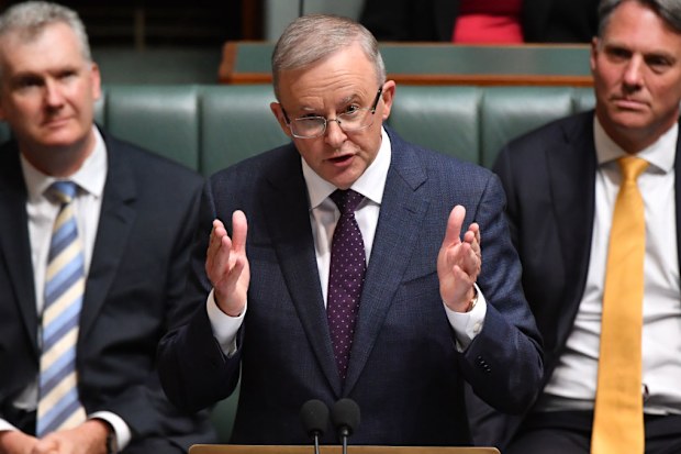 Anthony Albanese insists the Upper Hunter poll was not a test of his leadership.