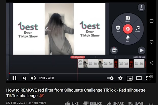 Silhouette challenge