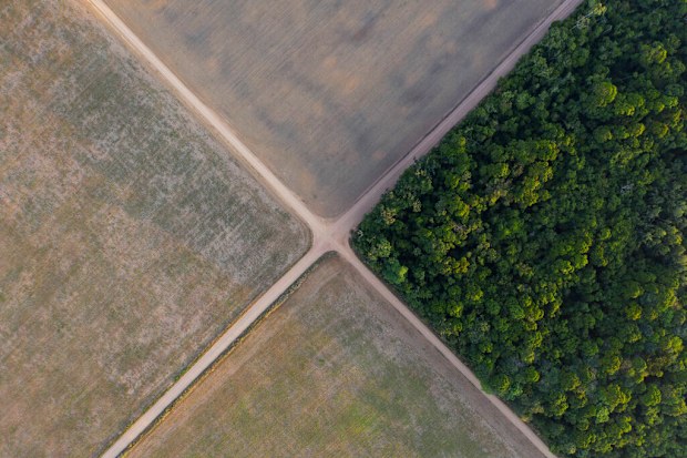 A fragment of Amazon rainforest stands next to soy fields in Belterra, Para state, Brazil. (AP Photo/Leo Correa, File)