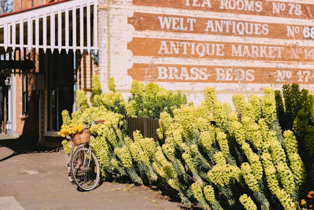 Kyneton main street