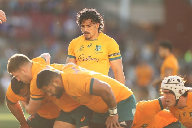 Pete Samu of the Wallabies  watches on as the scrum packs.