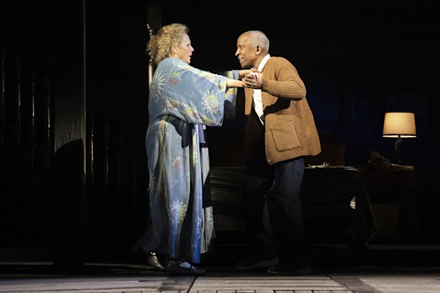 Maryann Plunkett, left, and Dorian Harewood during a performance of "The Notebook."  