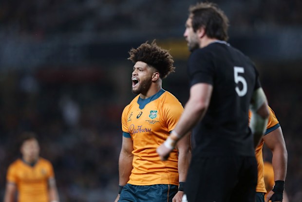 Rob Valetini of the Wallabies reacts.