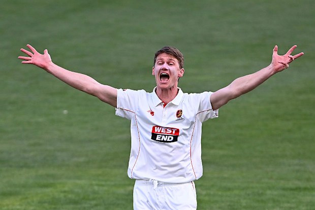 Brendan Doggett in action in the Sheffield Shield.