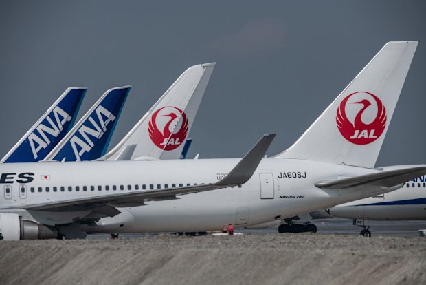ANA (All Nippon Airways) and Japan Airlines aeroplanes 