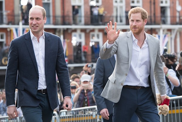 William and Harry approve Diana statue