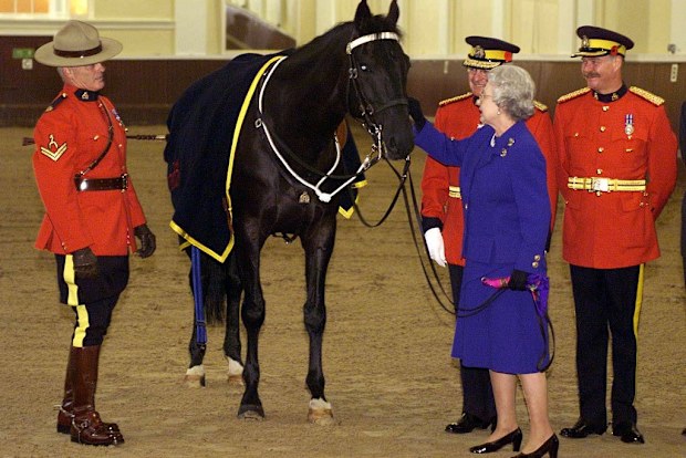 Queen Elizabeth pats James,  the horse that presented as a gifted to the Queen by members of the Royal Canadian Mounted Police in 1998.