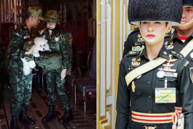 Sineenat is a former army nurse and served as the King's bodyguard for a time.