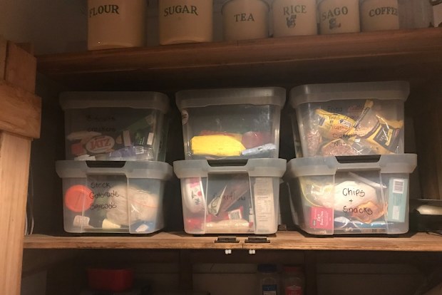 Mouse plague food in containers