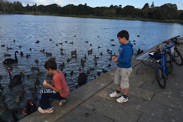 Jo Abi sons Centennial Park