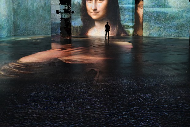 Illuminate adelaide festival