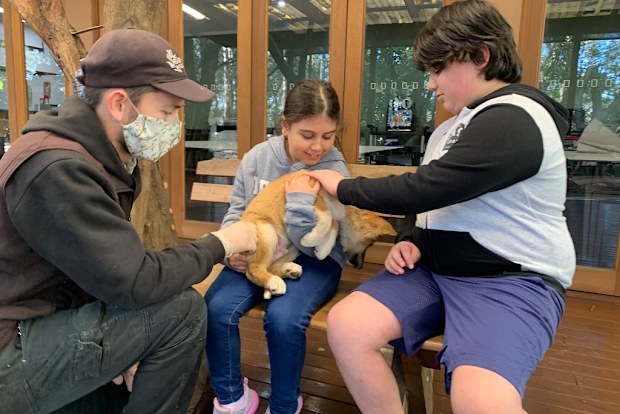 Giovanni and Caterina meet a baby dingo at the zoo.