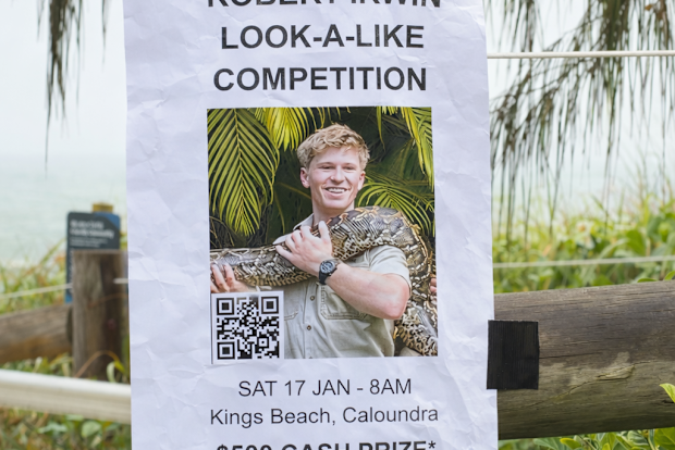 Robert Irwin lookalike contest 