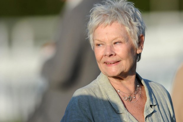 Dame Judy Dench in the parade ring during the Winter Derby Day at Lingfield Racecourse. 