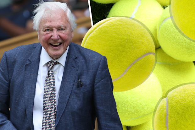 David Attenborough with tennis balls